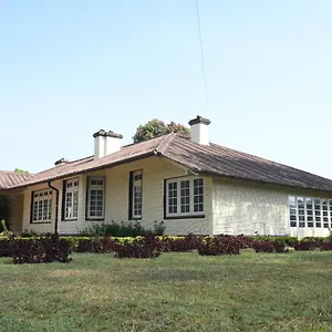 Ama And Trails Tea Estate , Munnar